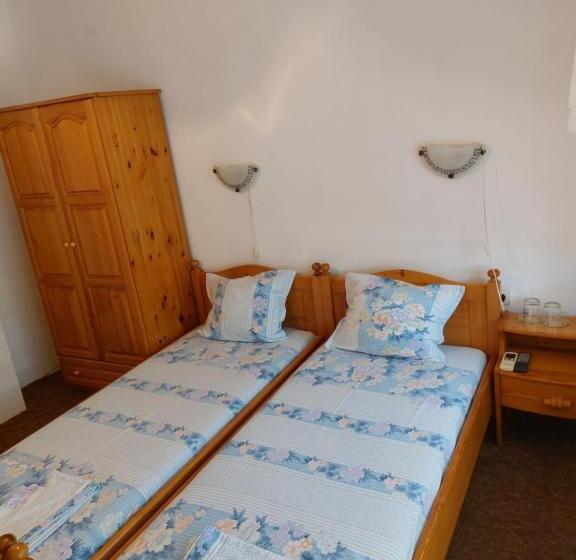 Standard room with outdoor bath, Guest House   Viktor