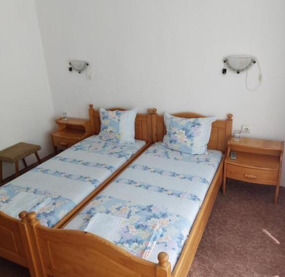 آپارتمان 1 خوابه با بالکن, Guest House Viktor