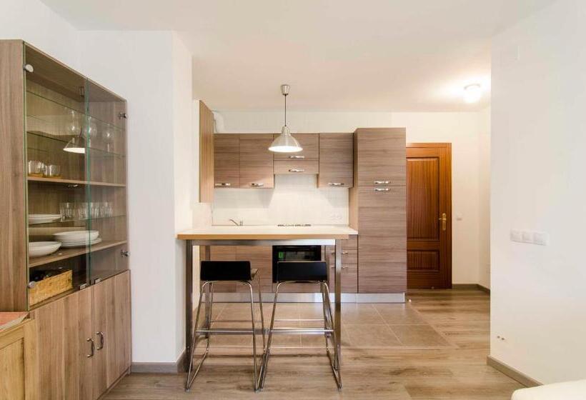 آپارتمان 1 خوابه, Apartamentos La Bilbaina