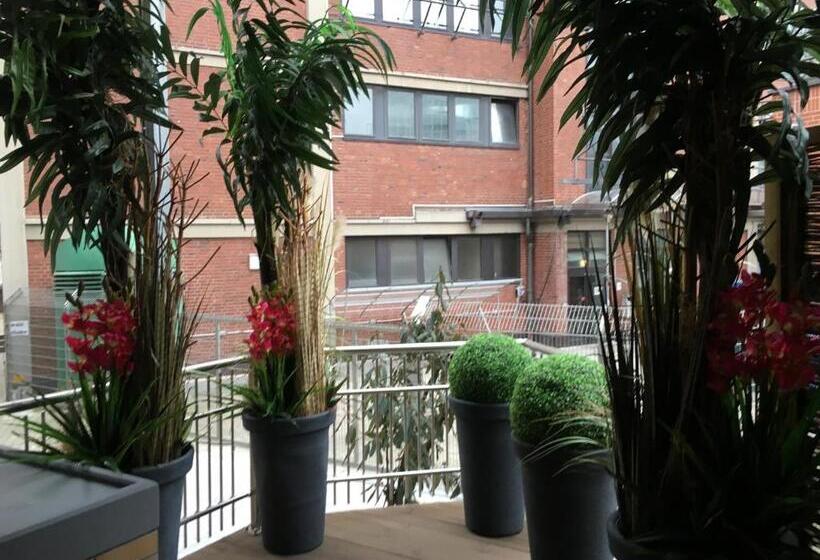 استودیو استاندارد با تراس, High Level Apartment