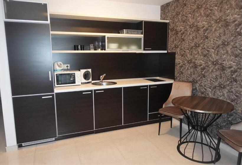 إستوديو قياسى مطل على البحر, Millennium Apart Complex