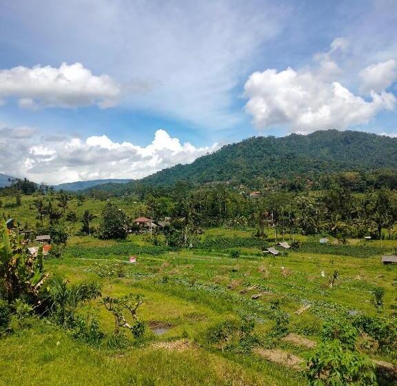 חדר דלוקס, Bukit Luah Sidemen