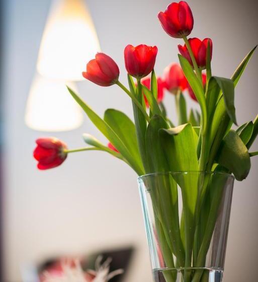 标准单人间, Apartmenthouse Rülzheim