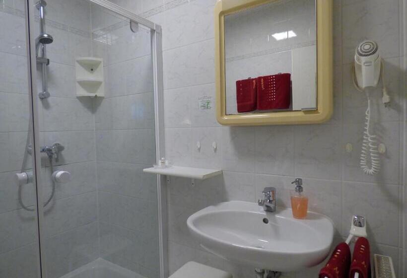 스탠다드 룸, Pension Meyer