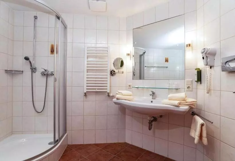Standard-huone Näkymä, Am Kurhaus Mit Erstem Ayurveda Center Sachsens   Direkt Am Gesundheitsbad Actinon & Kurpark