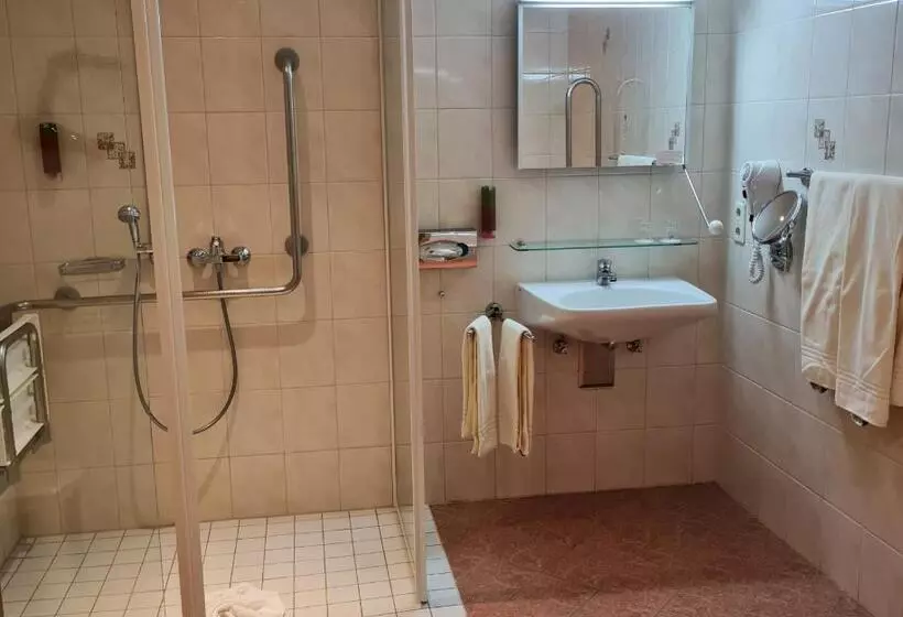 Standard-huone, Am Kurhaus Mit Erstem Ayurveda Center Sachsens   Direkt Am Gesundheitsbad Actinon & Kurpark