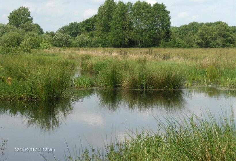 חדר סופריור עם טרסה, Frøslev Kro