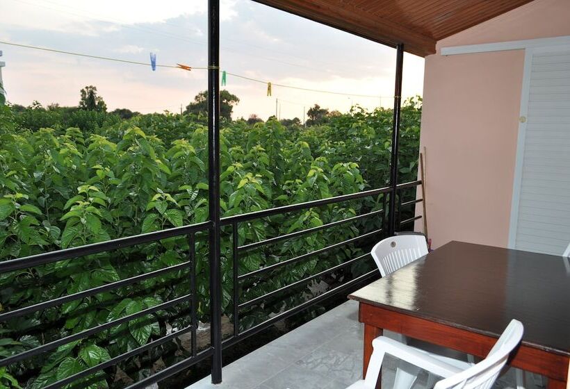 חדר סטודיו סטנדרד, Olympion Village Studios