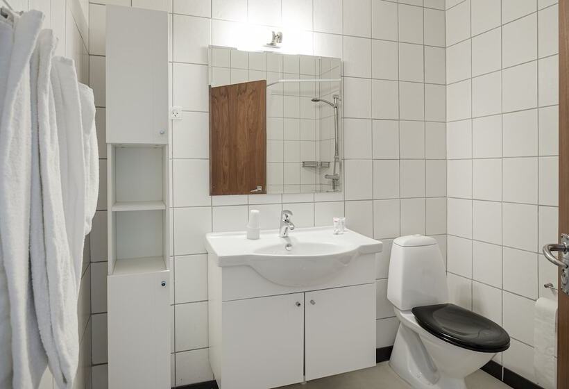 Номер Стандарт, Phønix Brønderslev