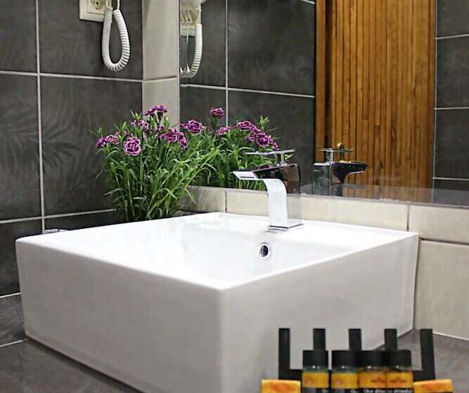 Номер Стандарт, Zeus