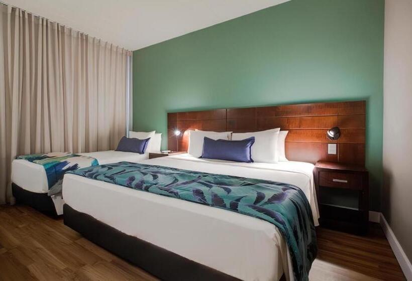 수피리어 트리플 룸, Cyan Resort By Atlantica