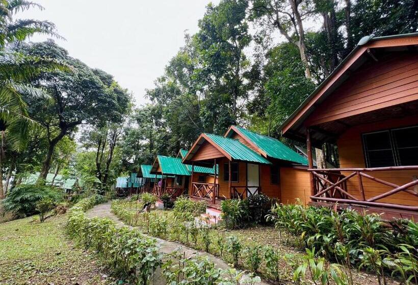 标准平房, Dream Valley Resort, Tonsai Beach