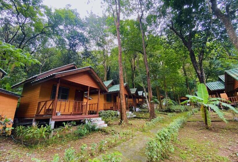 标准平房, Dream Valley Resort, Tonsai Beach