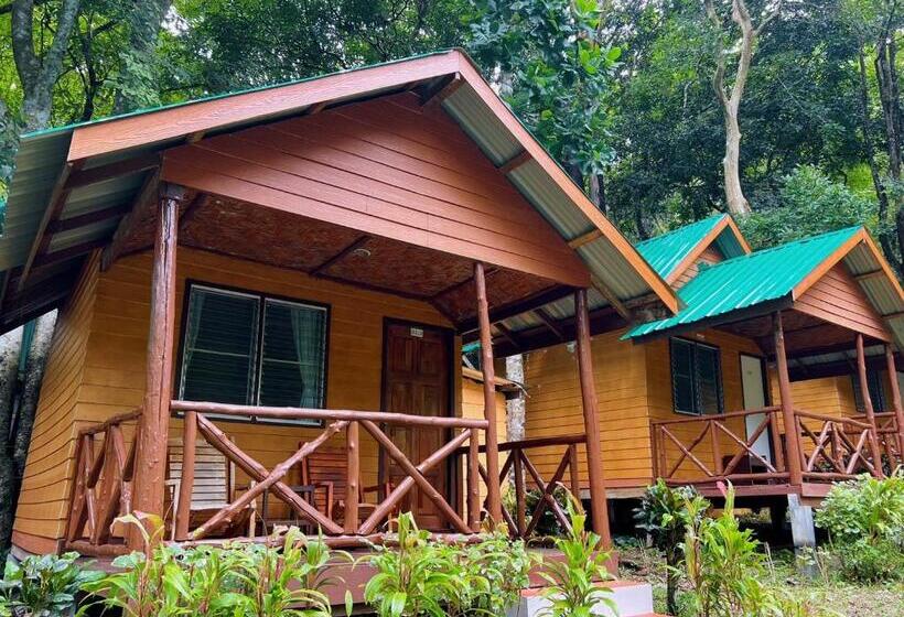 标准平房, Dream Valley Resort, Tonsai Beach