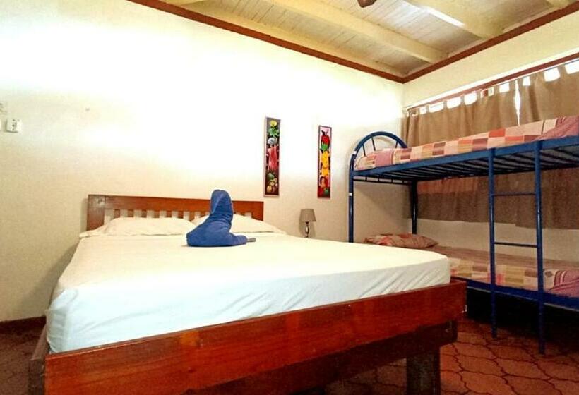 スタンダードルーム, Las Palmas