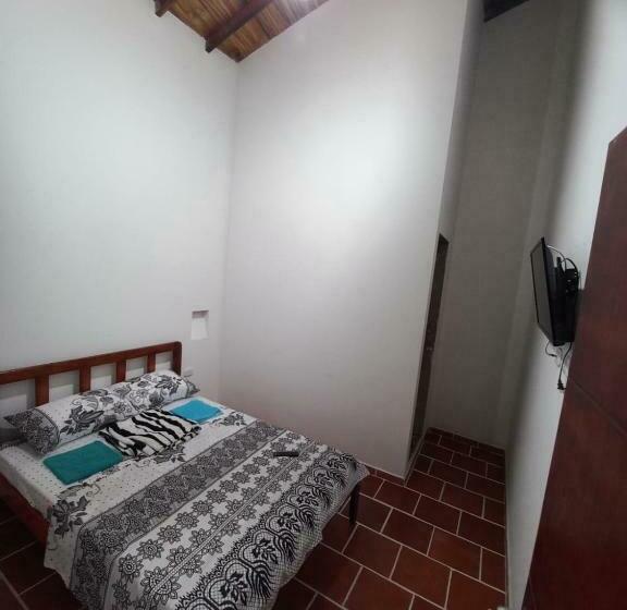 标准间, Terra Bella