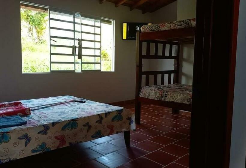 标准间, Terra Bella