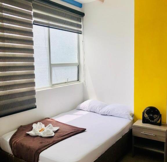 标准三人间, Café Color