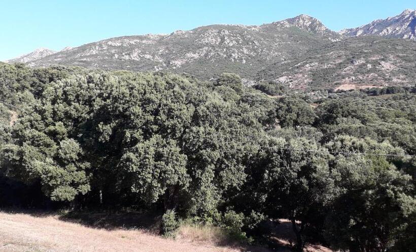 스탠다드 룸, Agriturismo La Tuva