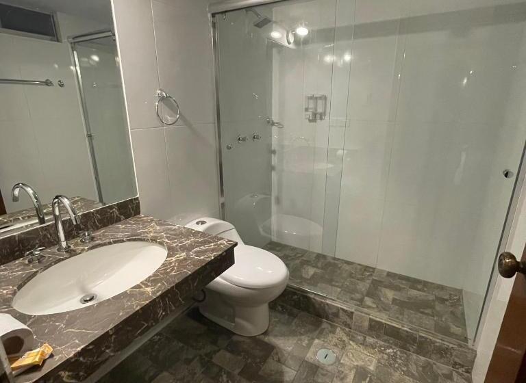 Comfort room with terrace, El Plaza Centro De Lima