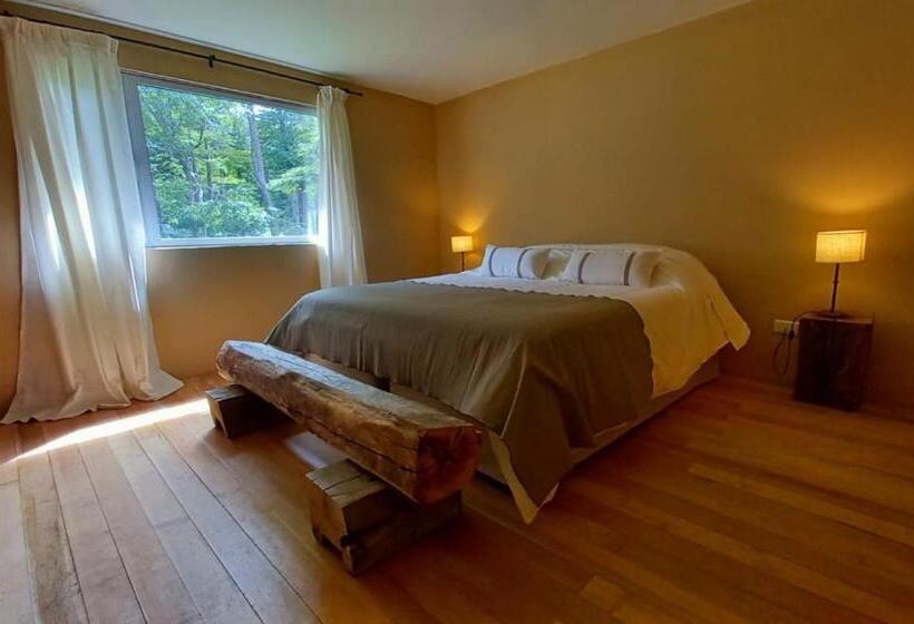 اتاق استاندارد, Refugio De Glaciares