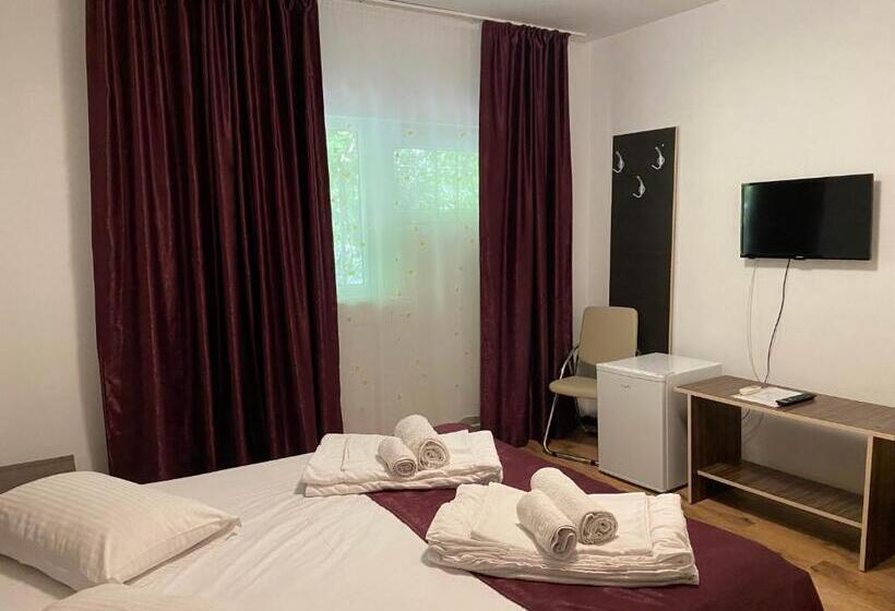 이코노미 룸, Vila Ana Trident Costinesti