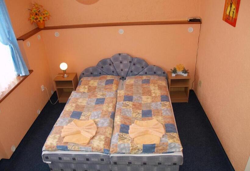 Номер Стандарт, Pension Erika