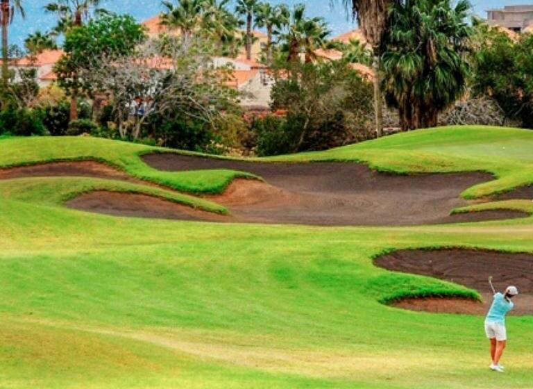 استودیوی استاندارد با چشمانداز دریا, Sunshine Apartments