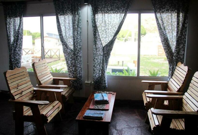 سرير فى غرفة مشتركه, Hostel Bahía Ballenas