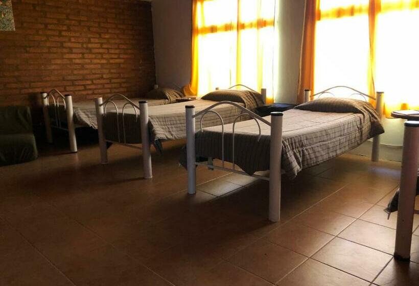 공동 객실, Hostel Bahía Ballenas