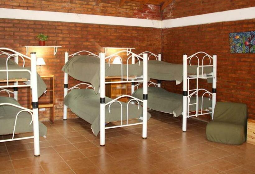 سرير فى غرفة مشتركه, Hostel Bahía Ballenas