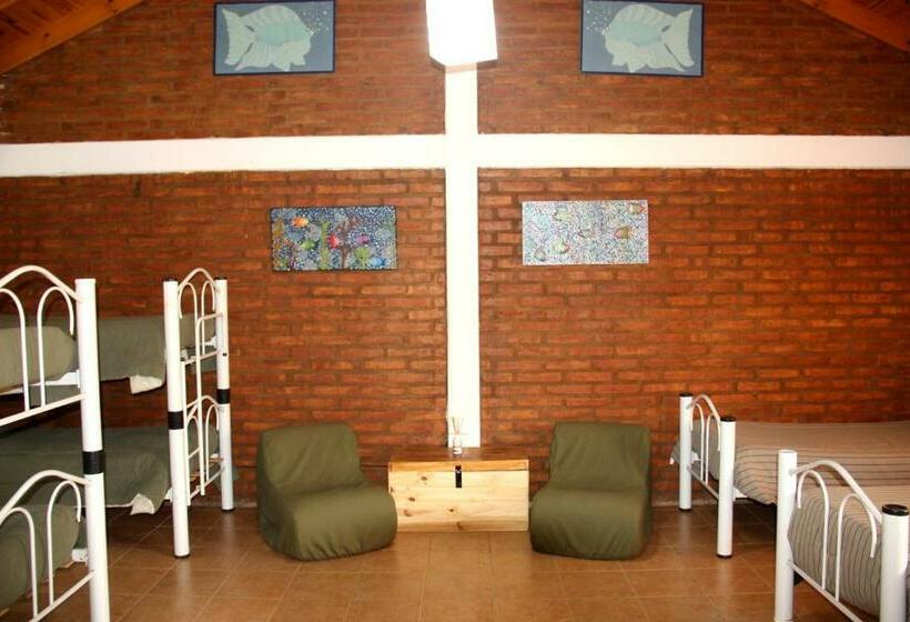 سرير فى غرفة مشتركه, Hostel Bahía Ballenas