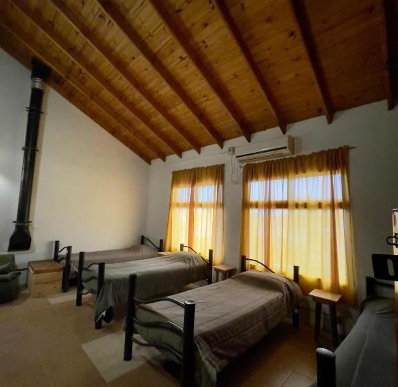 سرير فى غرفة مشتركه, Hostel Bahía Ballenas