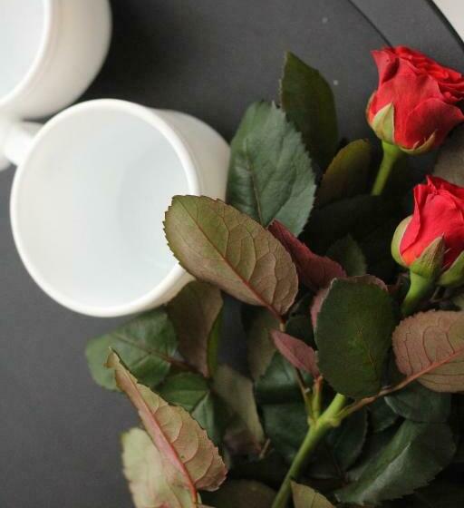 Номер Стандарт, котедж Uko