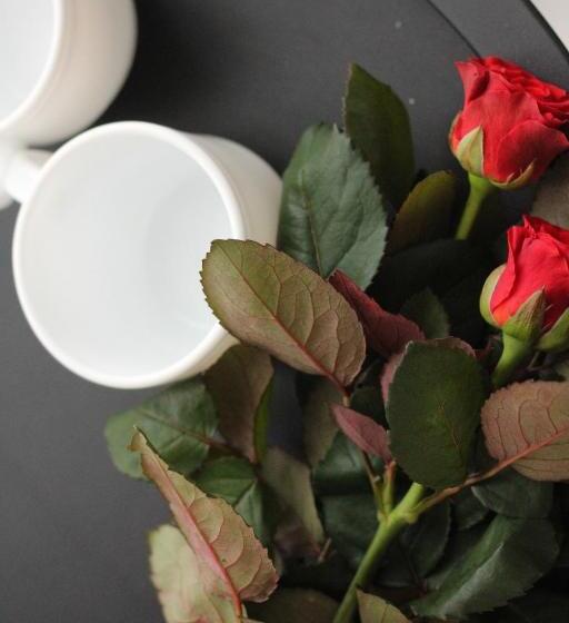 Семейный Номер Вид на Горы, котедж Uko