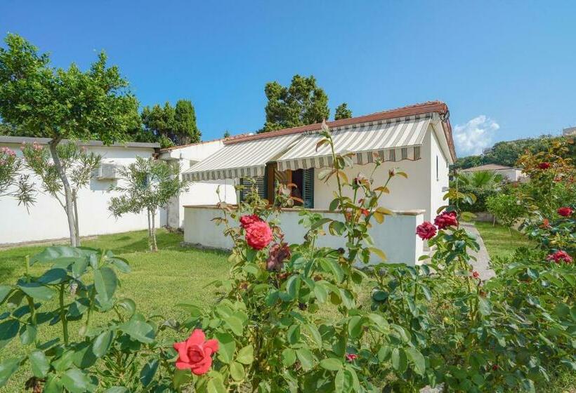 شقة غرفة واحدة, Villaggio Residence Emmesse