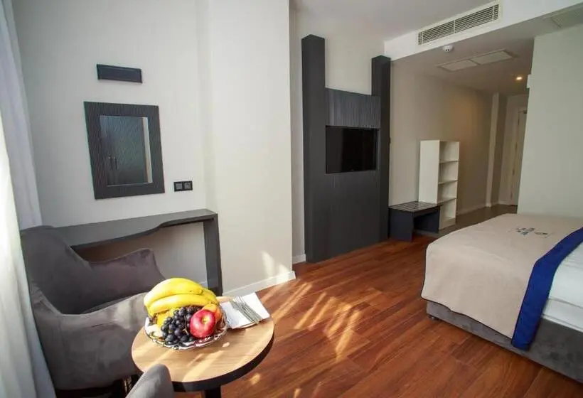 身障者適用スタンダードルーム, Best Western Izmir