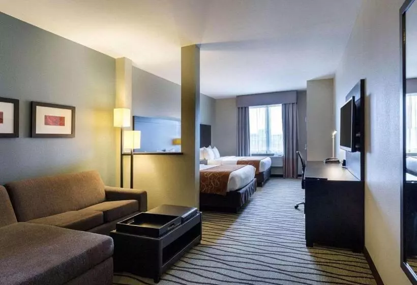 スイート, Comfort Suites Near Westchase On Beltway 8