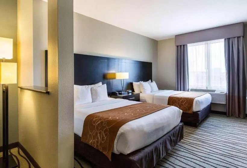スイート, Comfort Suites Near Westchase On Beltway 8