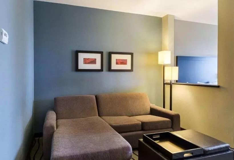 スイート, Comfort Suites Near Westchase On Beltway 8