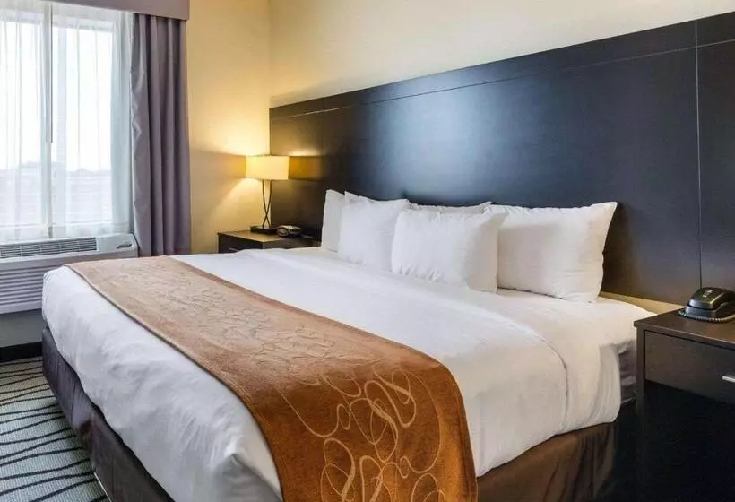身障者適用スイートルーム, Comfort Suites Near Westchase On Beltway 8