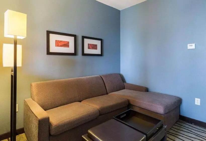 身障者適用スイートルーム, Comfort Suites Near Westchase On Beltway 8