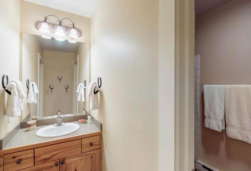 آپارتمان 1 خوابه, Crail Creek 607