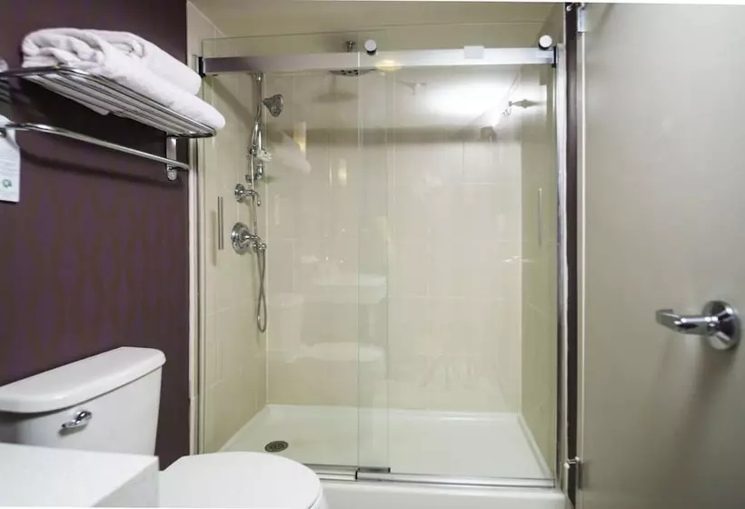 ２ダブルベッドのスタンダードルーム, Crowne Plaza Saddle Brook, An Ihg