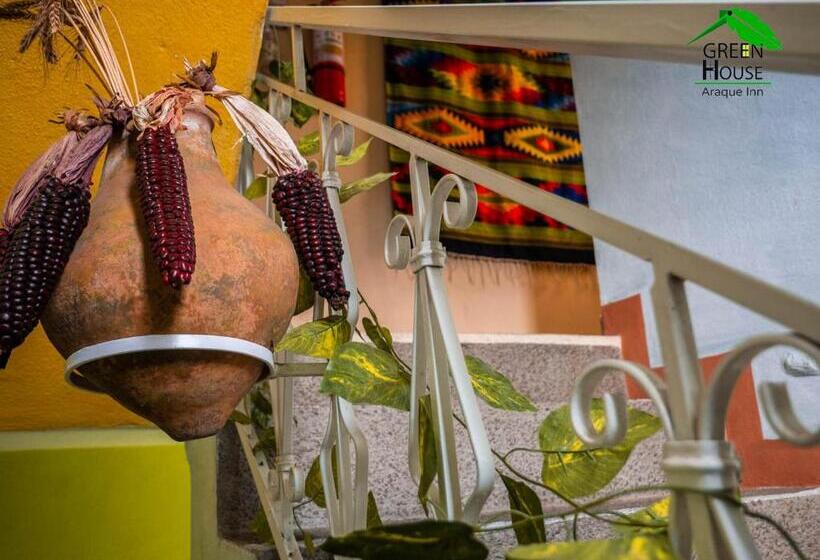 标准单人间, Green House Araque Inn