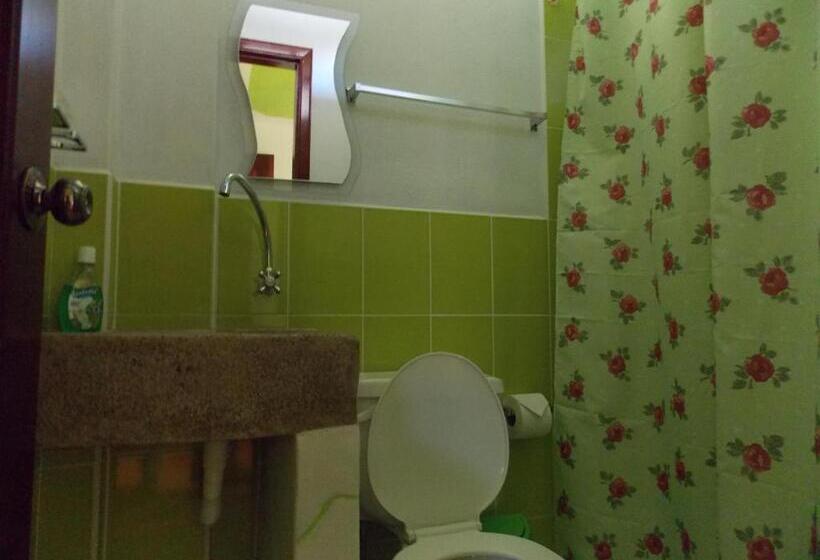 标准单人间, Green House Araque Inn