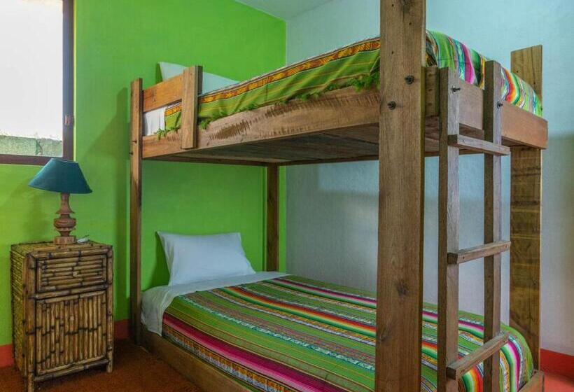 标准单人间, Green House Araque Inn