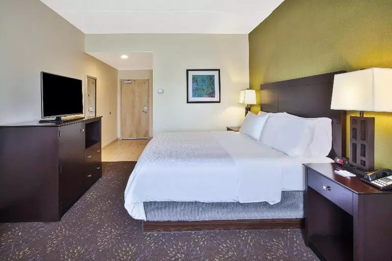 キングサイズベッドのスタンダードルーム, Holiday Inn Express & Suites Geneva Finger Lakes, An Ihg