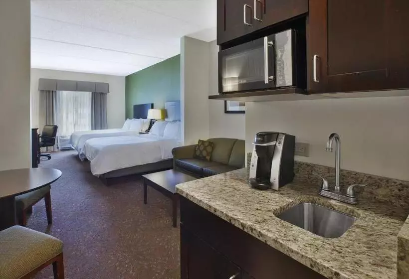スイート, Holiday Inn Express & Suites Geneva Finger Lakes, An Ihg