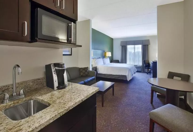 キングサイズベッドのスイートルーム, Holiday Inn Express & Suites Geneva Finger Lakes, An Ihg